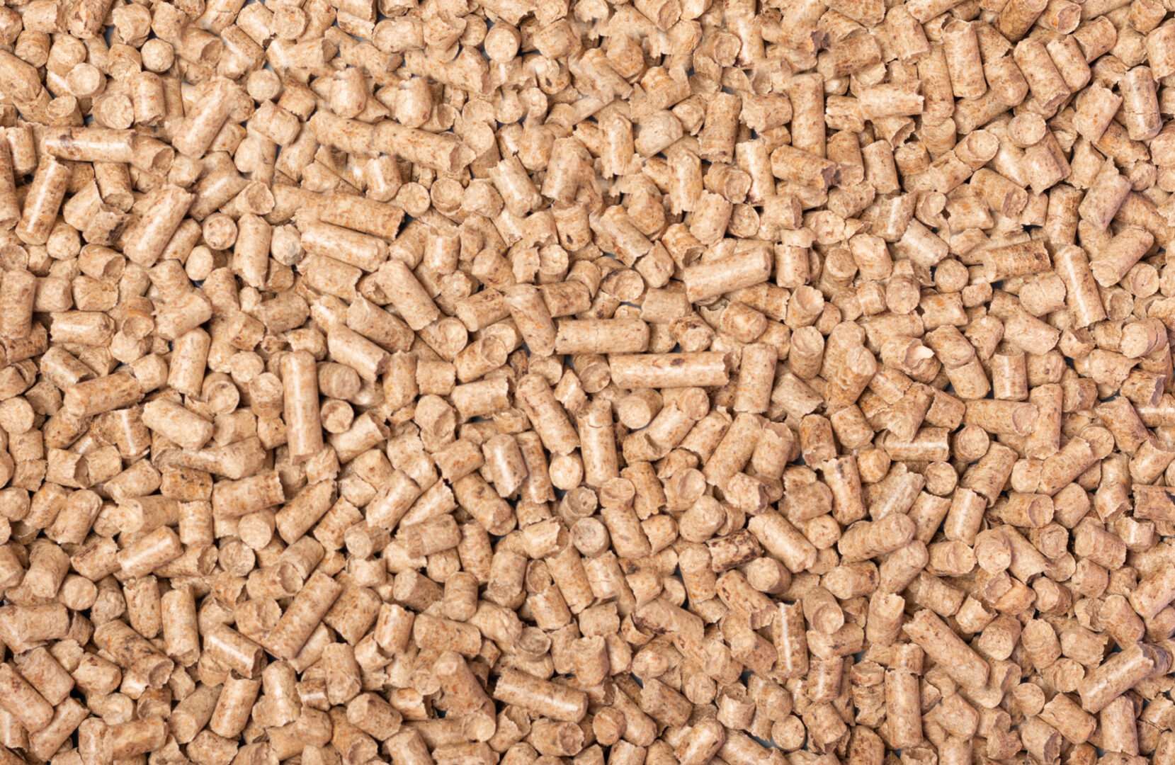 texture-of-woody-clumps-pellets-of-litter-for-ca-2023-11-27-05-08-58-utc